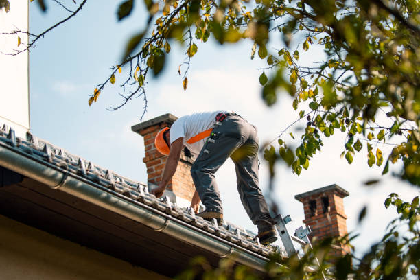 Best Roof Gutter Cleaning  in Sconsin Dells, WI